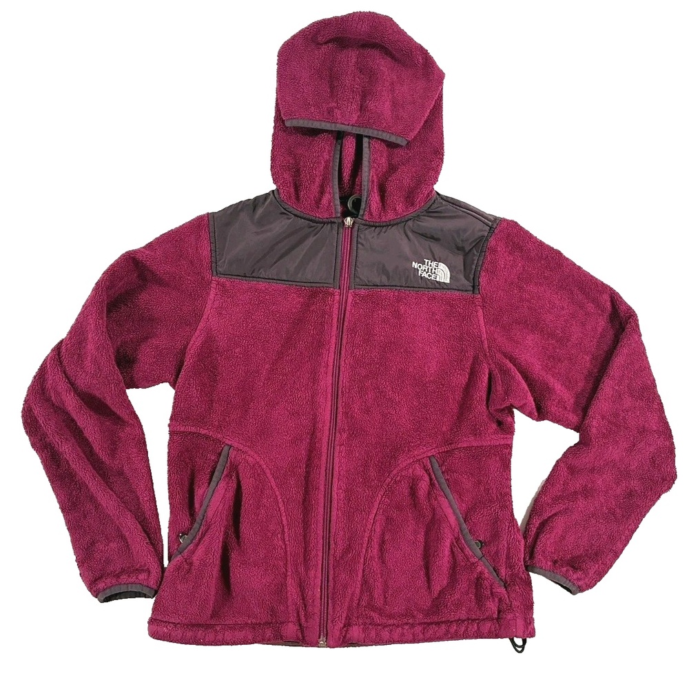 The North Face Hooded Fleece Jacket Small Gorpcore Technical Outdoor Layer